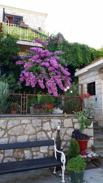 Ivona Dubrovnik