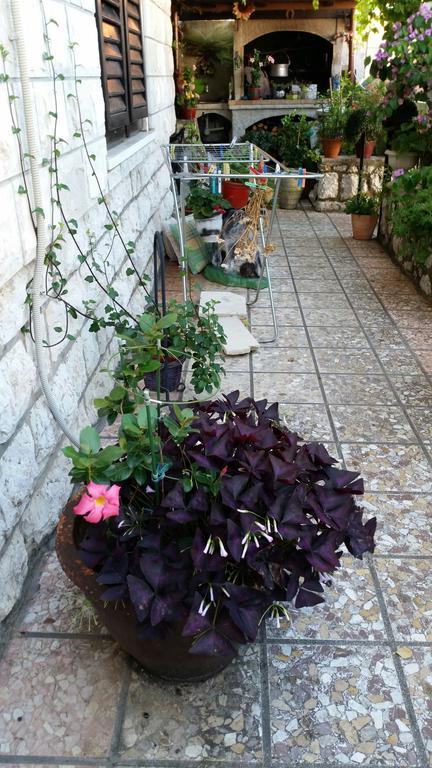 Maison d'hôtes Ivona Dubrovnik
