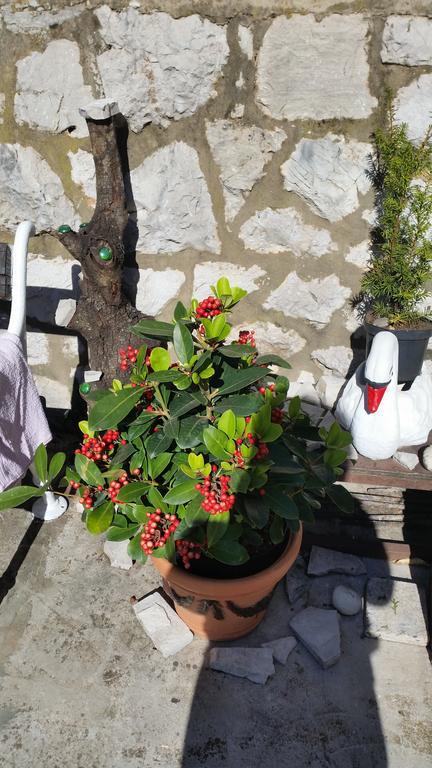 Ivona Maison d'hôtes Dubrovnik